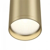 Plafon LAMPA sufitowa FOCUS S C052CL-01MG Maytoni downlight OPRAWA metalowa tuba spot złoty matowy