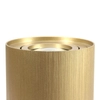 Lampa sufitowa tuba 497 Domeno LED okrągła spotlight metalowa złota